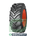 Шина 540/65R30 RD-03 150D/153A8 TBL Cultor